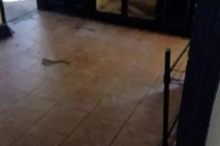 9437 Beaconsfield St, Detroit, MI 48224 - Photo 5