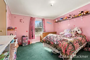 1451 W Charles Rd, Ionia, MI 48846 - Photo 27