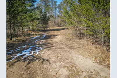 V/L Rybicki Road, Free Soil, MI 49411 - Photo 37
