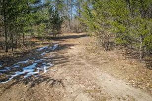 V/L Rybicki Rd, Free Soil, MI 49411 - Photo 37