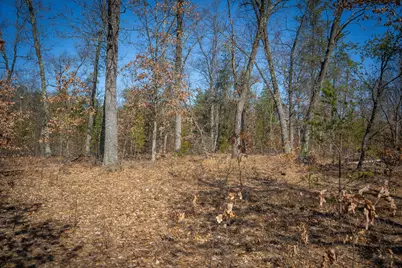 V/L Rybicki Road, Free Soil, MI 49411 - Photo 29