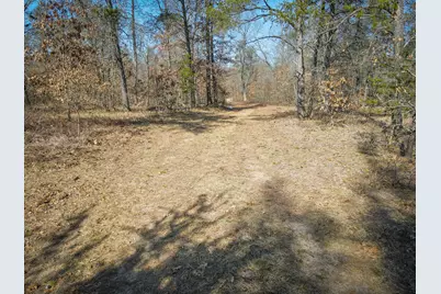 V/L Rybicki Road, Free Soil, MI 49411 - Photo 33