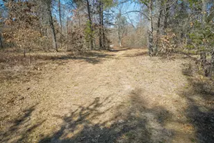 V/L Rybicki Rd, Free Soil, MI 49411 - Photo 33