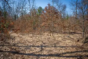 V/L Rybicki Rd, Free Soil, MI 49411 - Photo 23