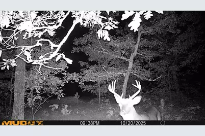 V/L Rybicki Road, Free Soil, MI 49411 - Photo 49