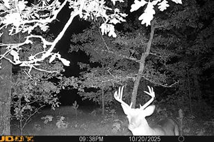 V/L Rybicki Rd, Free Soil, MI 49411 - Photo 49