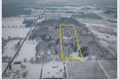 Parcel C W Grant Road, New Era, MI 49446 - Photo 1