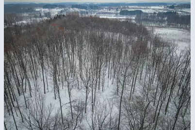 Parcel C W Grant Road, New Era, MI 49446 - Photo 27