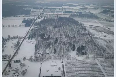 Parcel C W Grant Road, New Era, MI 49446 - Photo 11