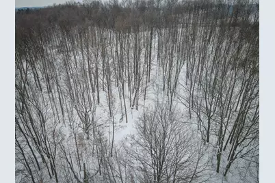 Parcel C W Grant Road, New Era, MI 49446 - Photo 39