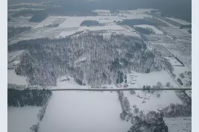 Parcel C W Grant Road, New Era, MI 49446 - Photo 17