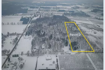 Parcel D W Grant Road, New Era, MI 49446 - Photo 1