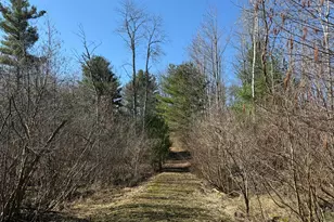 3345 W Madison Rd, Hart, MI 49420 - Photo 25