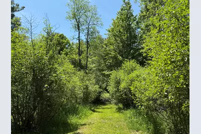 3345 W Madison Road, Hart, MI 49420 - Photo 39