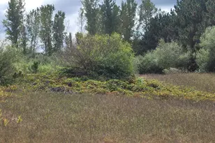 881 S Brye Rd, Ludington, MI 49431 - Photo 19