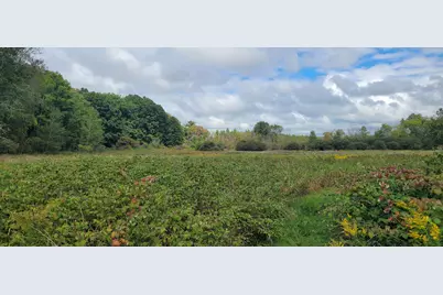 881 S Brye Road, Ludington, MI 49431 - Photo 1