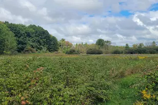 881 S Brye Rd, Ludington, MI 49431 - Photo 1