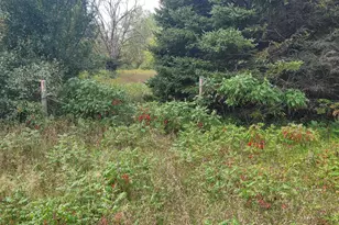 881 S Brye Rd, Ludington, MI 49431 - Photo 7