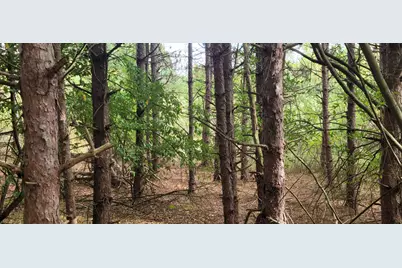 881 S Brye Road, Ludington, MI 49431 - Photo 21