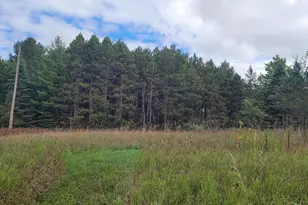 881 S Brye Rd, Ludington, MI 49431 - Photo 11