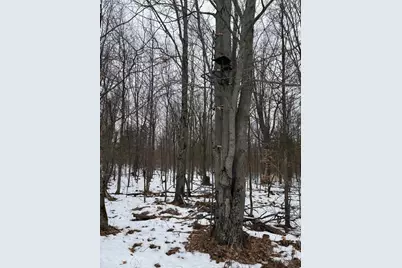 11661 75th Avenue, Mecosta, MI 49332 - Photo 7