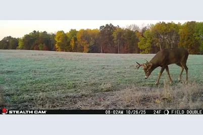 11661 75th Avenue, Mecosta, MI 49332 - Photo 11