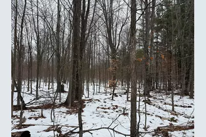 11661 75th Avenue, Mecosta, MI 49332 - Photo 7