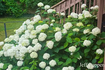 5382 Pinnacle Drive SW, Wyoming, MI 49519 - Photo 59