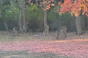 873 Hendrick Rd, Norton Shores, MI 49441 - Photo 35