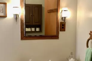 331 W Wheatland Ave, Remus, MI 49340 - Photo 13