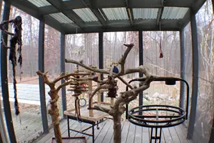 6635 E Chicago Rd, Jonesville, MI 49250 - Photo 33