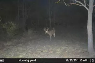 8885 Burmeister Rd, Saline, MI 48176 - Photo 77