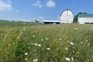 8885 Burmeister Rd, Saline, MI 48176 - Photo 55