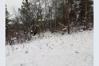 Apache Pass, Reed City, MI 49677 - Photo 3