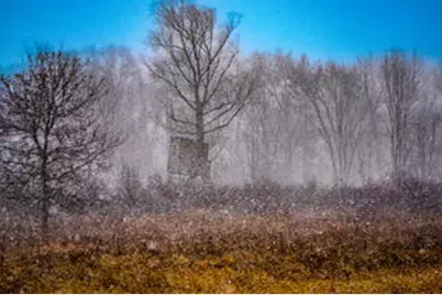 1991 N Concord Road, Albion, MI 49224 - Photo 21