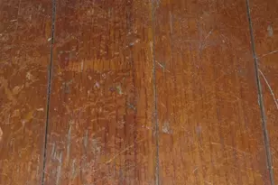 8236 Trinity St, Detroit, MI 48228 - Photo 15