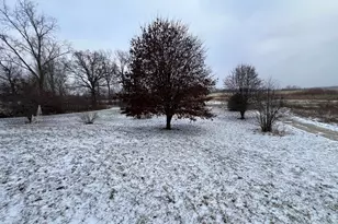 10550 Hillsdale Rd, Camden, MI 49232 - Photo 9