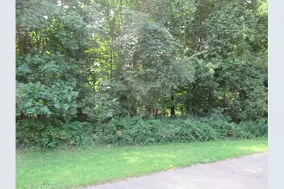 Tract 1 Deep Woods Drive, Cassopolis, MI 49031 - Photo 1