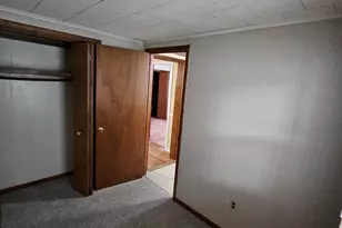 414 Quarterline St, Portland, MI 48875 - Photo 15