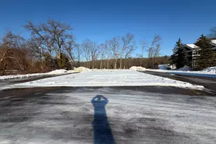 919 Marshall St, Allegan, MI 49010 - Photo 1