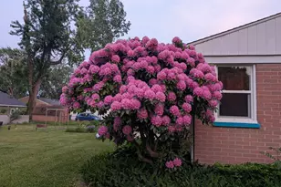 992 N Prospect Rd, Ypsilanti, MI 48198 - Photo 41