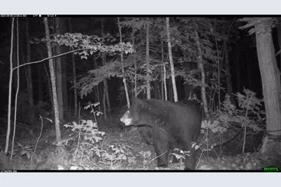 6392 Old U.S. 45, Watersmeet, MI 49969 - Photo 23