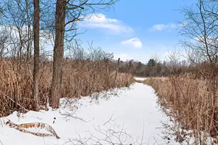 4337 Holland Lake Rd, Sheridan, MI 48884 - Photo 15