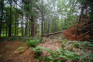 5680 E Shores Dr, Free Soil, MI 49411 - Photo 43