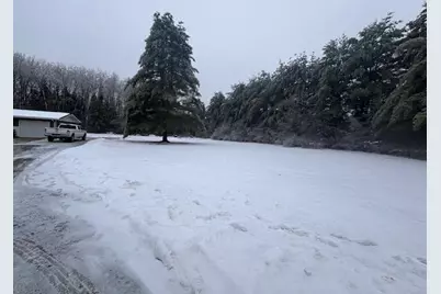 15209 Vance Road, Hersey, MI 49639 - Photo 5