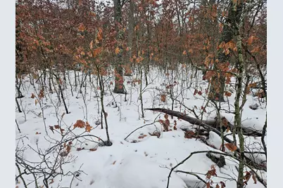 V/L 10-13 W Oliver Road, Baldwin, MI 49304 - Photo 1