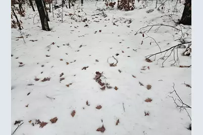 V/L 10-13 W Oliver Road, Baldwin, MI 49304 - Photo 7