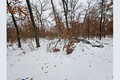 V/L 10-13 W Oliver Road, Baldwin, MI 49304 - Photo 5