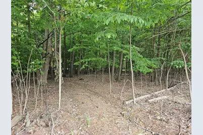 4550 W Waterwheel Road, Six Lakes, MI 48886 - Photo 5