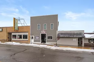 113 N Farmer St, Otsego, MI 49078 - Photo 1